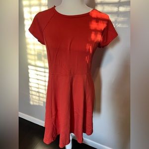 Forever 21 Skater Dress